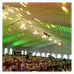 arabic canopy