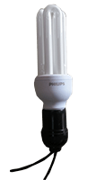 lampu bulb